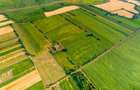 Teren de 50 ha compact în Bujac - 8