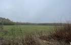 9400 mp | Ideal pentru investitie | Tunari | Deschidere la padure - 4