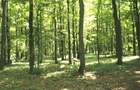TUNARI, cu acces din Sos. de Centura, 187.000 mp teren - 6