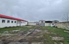 Oportunitate Unica: Teren Intravilan cu Hală de productie și Casă Modernă - 17