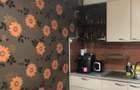 Afumati vila 8 camere , teren 1300 mp , piscina - 19
