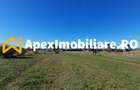 Corbeanca - Tamasi | Teren 1225mp, deschidere 44ml | Utilitati la 50m - 7