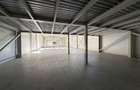 Hale noi / 1.433 mp / curte betonata // Baneasa - 36