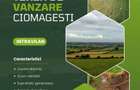 Ciomagesti - Teren Intravilan - Curți Construcții - Utilități - Centru - 1