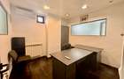 Business Hub Petre Ispirescu - 6 camere - 13