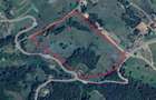 Teren de vanzare in Suncuius, 4,7 ha intravilan pentru agrement, Bihor - 1