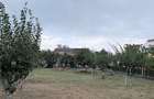 Mioveni- Arges