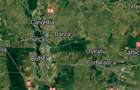 Vanzare 7500 mp teren in Butimanu ( aproape de Bucuresti ) cu pret negociabil - 8