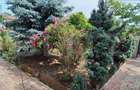 Casa, 3 camere, 693 mp teren, Lazuri - 10