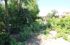 Vand teren 999mp +constructie de renovat loc. Serbestii Vechi - 7