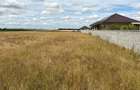 TEREN INTRAVILAN | 3043 MP | DUBLU FRONT | ZONA CIHEI | ORADEA | BIHOR - 6