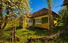 Domeniu de 3.400 mp cu traditionala casa, Suveica, Acatari Mures - 9