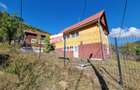 Exclusivitate! Casă in Avram Iancu cu teren de 26.621 mp, 4 camere - 2