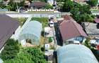 Proprietate 2.229 mp cu Dotări pentru Afacere Florală - 8