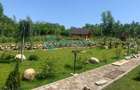 Royal Imobiliare -vanzare vila/ casa de vacanta zona CAMPINA - 9