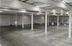 Spatiu Industrial - 5000 mp - Logistica - Depozitare - Distributie - 10