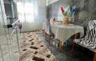 Apartament 3 camere renovat la 30 de Km de Oradea - 5