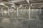 Spatii Industriale - 10000 mp - Logistica - Productie - Depozitare - Distributie - 18