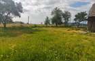 Casa+teren 5000mp, 70ml la DN 2E, zona Cacica, Radauti - 12