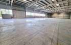 Spatiu Industrial - Zona Apahida - Teren Imprejmuit - 9