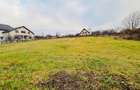 Teren intravilan 1227 mp I Scheia I Suceava - 6