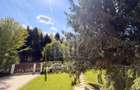 Casă de vacanță noua-Valea Avrigului - 27