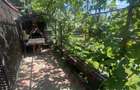 Casa P+1, 4 camere, teren 760 mp, zona Tache - 17