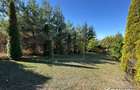 Vila in Faget, zona Vila Tusa, 400 mp, 2412 mp teren
