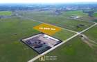 Teren industrial de vânzare 10.000 mp, PUZ aprobat, acces DN7 – Arad - 1
