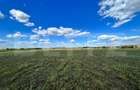 Teren extravilan, 2.800 mp, două fronturi, Izvorul Rece - 1