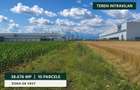 Teren intravilan 38.676 mp | 10 parcele | Zona de Vest - 1