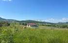 Oportunitate de investitie,Valea ghinzii,Teren de 1,2 Hectare - 1