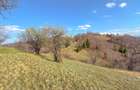 Refugiu de poveste în inima naturii | 12.000 mp în Holbav | Proiect început - 3