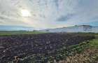 Vanzare Teren pretabil constructie hale, 28.100 mp, Halchiu - 11