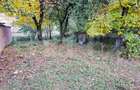 Casă cu teren intravilan de 939 mp, în zonă turistică – Târsa, Avram Iancu