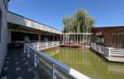 OPORTUNITATE – COMPLEX TURISTIC, AGREMENT & EVENIMENTE - BIHOR - 15
