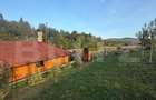 Cabana din lemn rotund, 2 camere, 140 mp, teren 2800 mp, Paltinoasa - 7