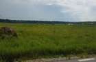 Teren de vanzare  7.400mp Ciolpani -Intravilan 300m de la DN1 -STRADA ASFALTATA  - 4