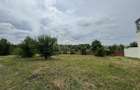 Vila cu 5 camere *616mp* / 1600mp teren / Corbeanca - 34