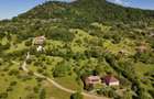 Teren intravilan 5.105 mp, Baia Sprie, la intrare pe Valea Chiuzbăii - 3