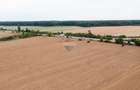 Teren intravilan  10.000mp Ciolpani, acces direct din DN1 - 11