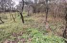Casă de vânzare, 2 camere, 60 mp, 900 mp teren Dâmbul Rotund zona Dedeman - 17