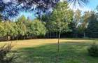 Elegant Individual Villa with Expansive 1,700 sq. m garden in Pipera - 20