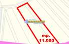 Teren Intravilan Constr Industriale 11800 mp PUZ utilitati Zona Carolina Mall - 1