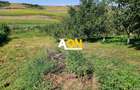 Casă batranească, 3 camere, 2200 mp teren, sat Bucerdea Grânoasă - 14