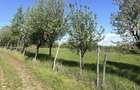 Teren intravilan | 700 mp | ZONA Cetate | Alba Iulia | CONSTRUIBIL - 4
