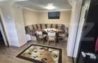 Casa cu 2 camere, 65 mp, teren 2910 mp, in Viile Satu Mare - 12