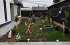 Casa zona Complex Comercial Traian Nord - 9