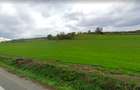 Teren extravilan 42000MP Seica Mare - Sibiu - 3