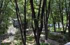 Apartament 2 camere.  Cu Centrala. La 2 min. metrou Brancoveanu. - 9